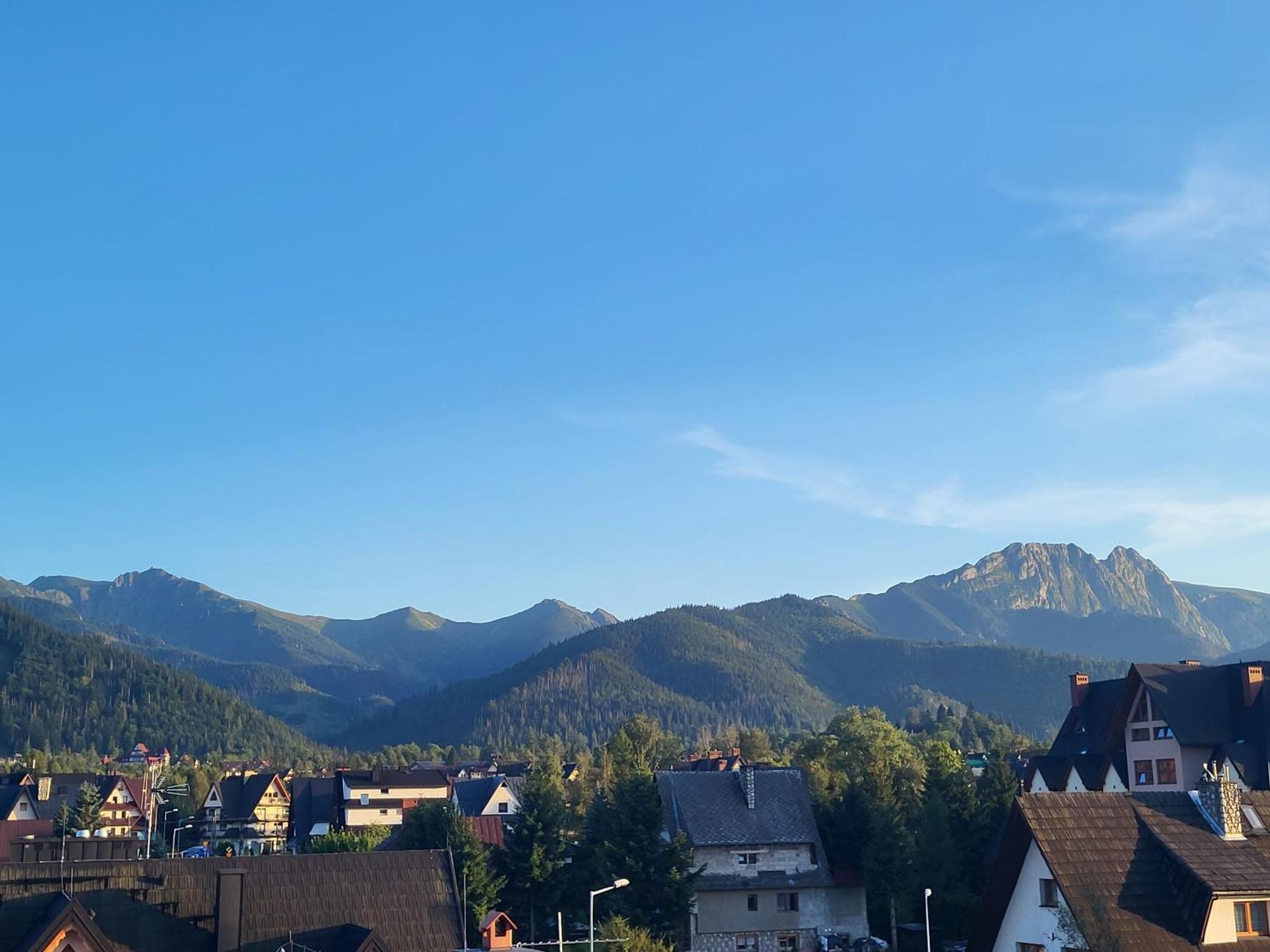 Apartamenty I Pokoje Goscinne Nowita Zakopane Room photo